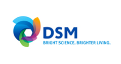 DSM